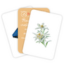 Carduri Montessori Clasificare - Pamant, aer, apa
