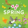 Spring: A Pop-Up Book
